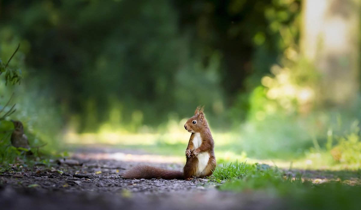 Choosing Warm Layers for Woodland Walks