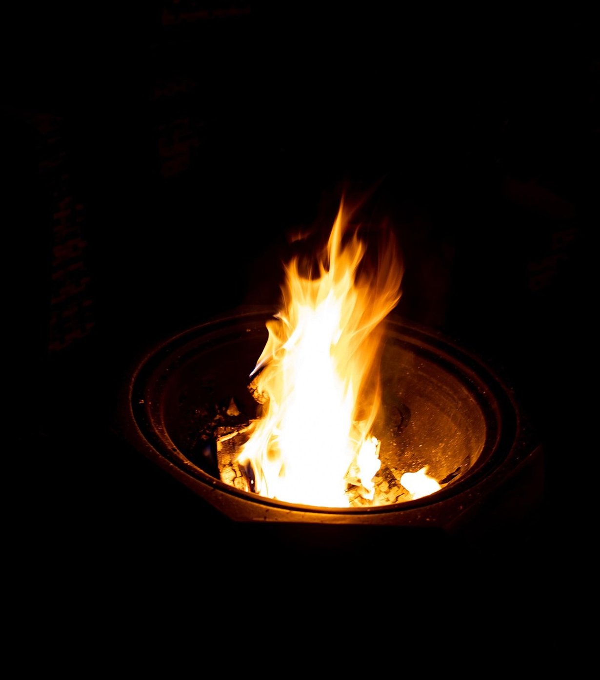The Ember Thicket
